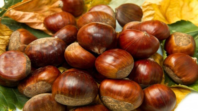 Perché quest'anno le castagne costano meno?