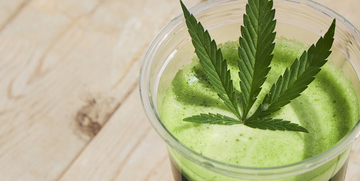 Cannabis nel cibo, limiti di thc consentiti per alimenti e bevande dal Ministero della Salute