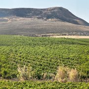 Lava, vento, rabbia e amore. La Sicilia nel calice che non ti aspetti