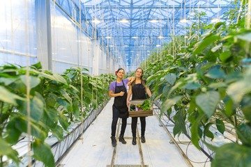 Meta: ecco come le Pmi possono frenare il cambiamento climatico