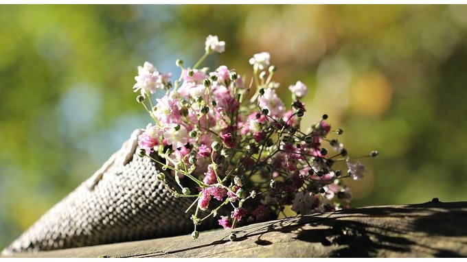Come mandare fiori a domicilio: siti e app migliori 