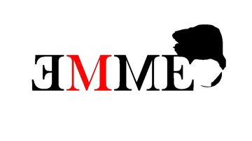 Emme Team: cos'è, cosa fa e di quali indagini si è occupata