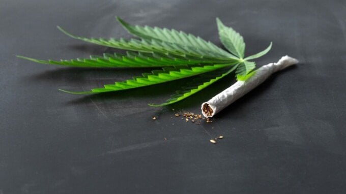 Quanto vale il business della cannabis in Italia? Quanto potrebbe guadagnare lo Stato