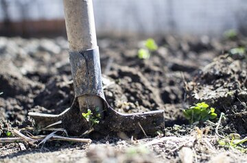 Si può fare giardinaggio a Pasquetta? Ecco quando rischi una multa