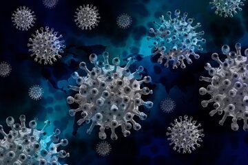 Coronavirus: il nuovo pericolo è la panzoozia. Ecco cos'è