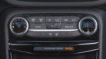 È vietato viaggiare con animali domestici senza aria condizionata, lo dice la legge 