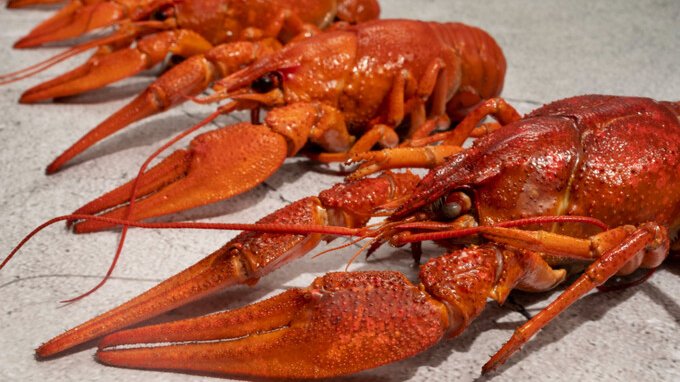 Furto record in un supermercato. Sparite aragoste per $400.000