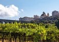 Lazio, terra di rinascite: i vitigni autoctoni che stanno cambiando il volto del vino regionale