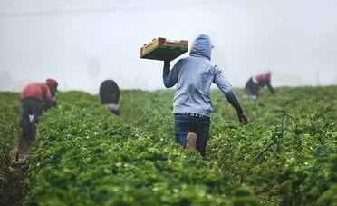 Potrebbe diventare ricco, ma si rifiuta di vendere il suo terreno 