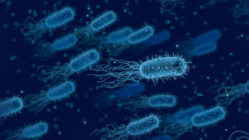 Streptococco A (Stss), allarme in Giappone: sintomi, contagio e quanto è pericoloso