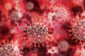 Variante inglese: svelati sintomi e differenze con il virus “originale”