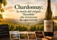 Chardonnay: la storia del vitigno «flessibile» che si traveste da ogni terroir