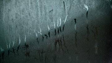 Addio condensa sui vetri della macchina. Ecco i trucchi che funzionano davvero