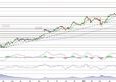 Target in rally