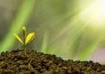 Come investire in terreni agricoli e fare soldi nel 2026