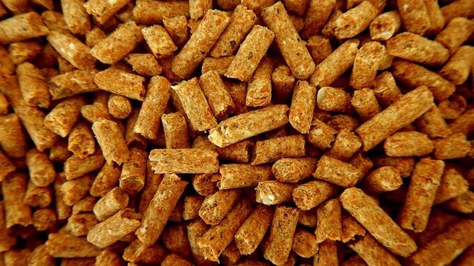 Conviene ancora la stufa a pellet?