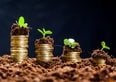 BTP Green, cosa sono e come investire in titoli di Stato sostenibili