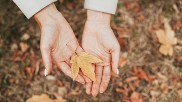 Frasi equinozio d'autunno 2022: immagini, citazioni e aforismi per WhatsApp e Facebook