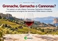 Grenache, Garnacha o Cannonau? Il vitigno mediterraneo che unisce Francia, Spagna e Italia