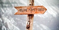 Regime forfettario 2020, limiti e novità per le Partite IVA