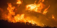 Incendi Australia: le conseguenze su dollaro ed economia