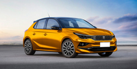 Nuova Fiat Punto: ecco quale potrebbe essere il suo destino