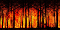 Crisi climatica: quale impatto sul PIL mondiale?