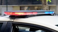 Concorso Polizia per 1.000 allievi vice ispettori con diploma: bando e come partecipare 
