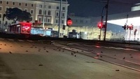 Strage di uccelli in via Cavour a Roma: cosa è successo davvero
