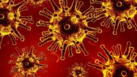 Covid, scoperte 7 nuove varianti: potrebbero essere più contagiose