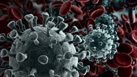 Covid, nuova variante meno contagiosa in Italia: il virus si sta indebolendo da solo?