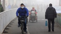 In arrivo nuove pandemie e virus a causa del riscaldamento globale: l'allarme 