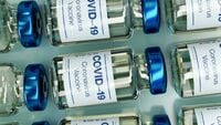Vaccino Covid, quante sono state davvero le reazioni avverse: i dati dell'AIFA