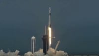 Come e dove vedere Starlink in Italia, la scia di satelliti lanciati da Elon Musk