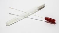 Covid, addio ai tamponi e nuove regole per la quarantena: dopo cinque giorni si potrà uscire dall'isolamento