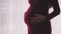 Tredicesima in maternità obbligatoria: come si calcola? Guida ed esempi