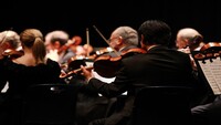 50 euro al giorno ai musicisti dell'orchestra di Sanremo 2020: verità o bufala?