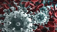 Il Coronavirus informatico: ecco cos'è