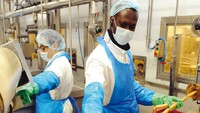 Pensioni: come i migranti possono sostenere il sistema previdenziale