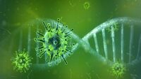 C'è qualcuno che sta guadagnando (e molto) grazie al coronavirus