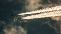 Alitalia nazionalizzata per colpa del coronavirus? 
