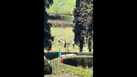 “I figli di Renzi giocano con gli amici portati dalla scorta”. Ma è una fake news. VIDEO