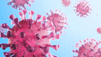 Gli Stati UE si sono mossi in tempo contro il coronavirus? La risposta in un grafico