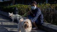 Coronavirus, chi ha un cane è meno a rischio. Lo studio