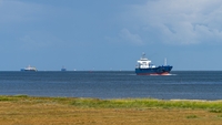 Chi guadagna dal petrolio in negativo
