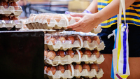 Uova Carrefour e Auchan contaminate: lotti ritirati per rischio Salmonella