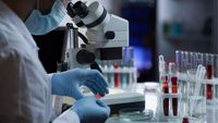 Sostanza naturale blocca l'ingresso del coronavirus: ecco qual è