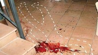Stasi chiede revisione processo: nuove prove sul delitto di Garlasco