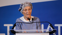 Mozione sul MES per mettere in crisi il governo: la Bonino ci riprova