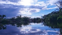 Banche europee, il report: predicavano sostenibilità mentre sfruttavano l'Amazzonia per petrolio. Gli istituti coinvolti